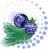 avatar lemon